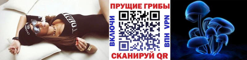 Псилоцибиновые грибы прущие грибы  Енисейск 