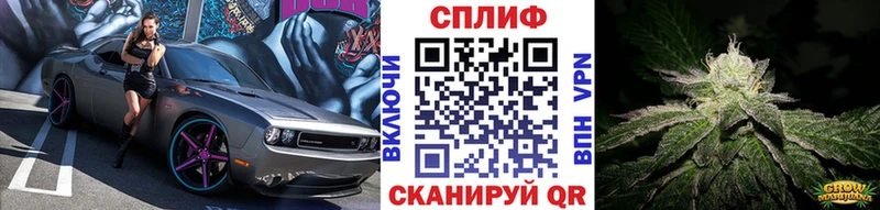 где купить наркоту  Енисейск  ОМГ ОМГ онион  Бошки Шишки марихуана 